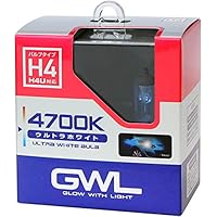 ⭐️希少価値⭐️ハーゲンダッツ　パブミラー Amazon | ミラリード(MIRAREED) ハロゲンバルブ GWL